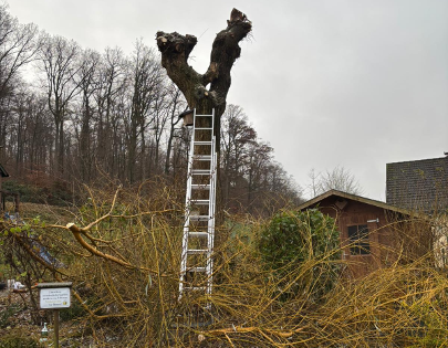 Einfahrt mit Pflasterarbeiten